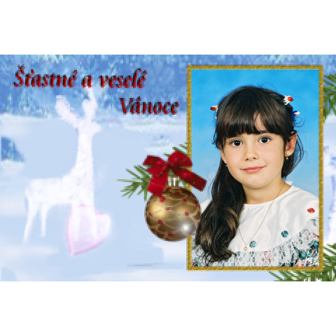 Vánočni pohlednice s Vaší fotkou - motiv modrá, sob, koule, jehličí